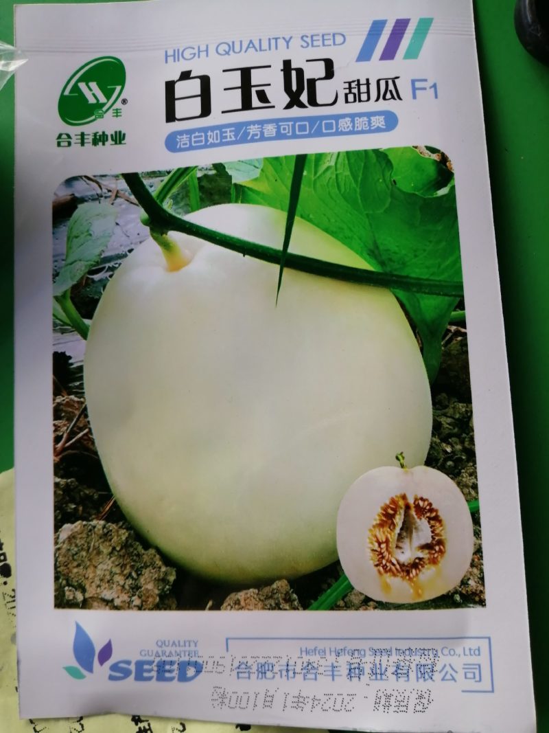 白玉妃甜瓜，洁白如玉芳香可口，口感脆爽。