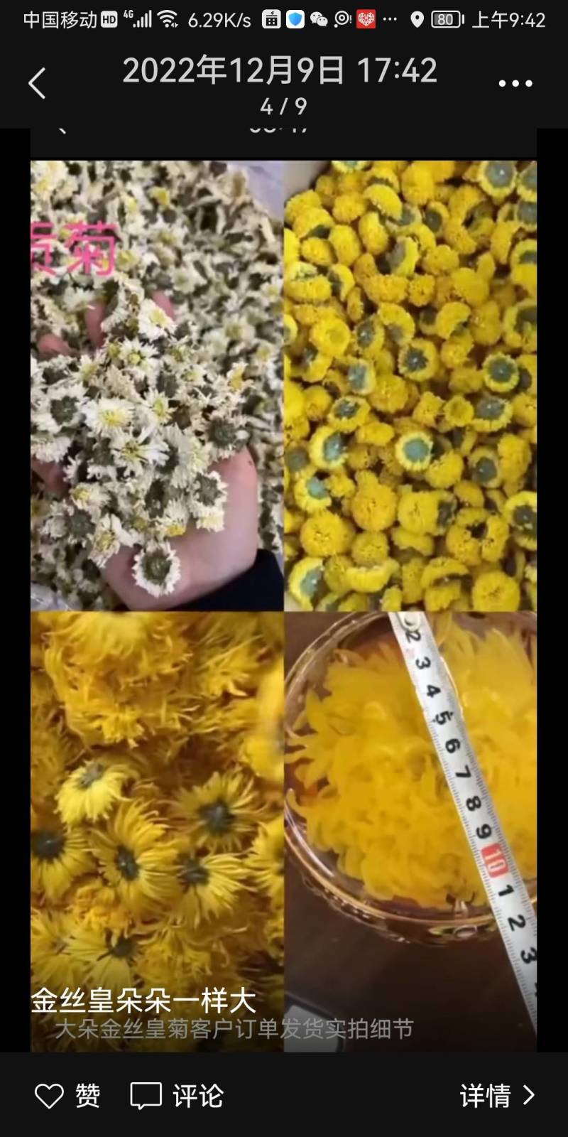黄山金丝皇菊礼盒
