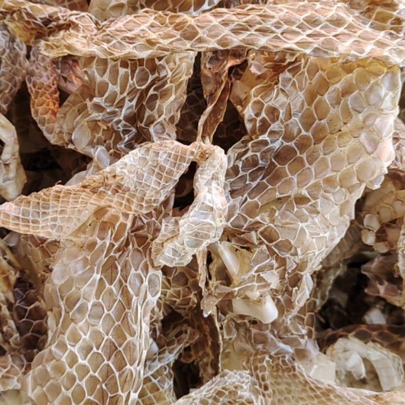 蛇蜕，龙衣，蛇皮批发，一手货源，欢迎采购