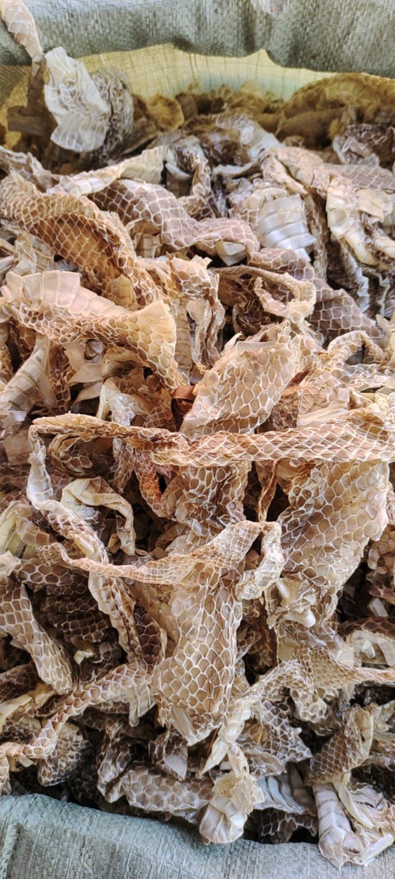 蛇蜕，龙衣，蛇皮批发，一手货源，欢迎采购