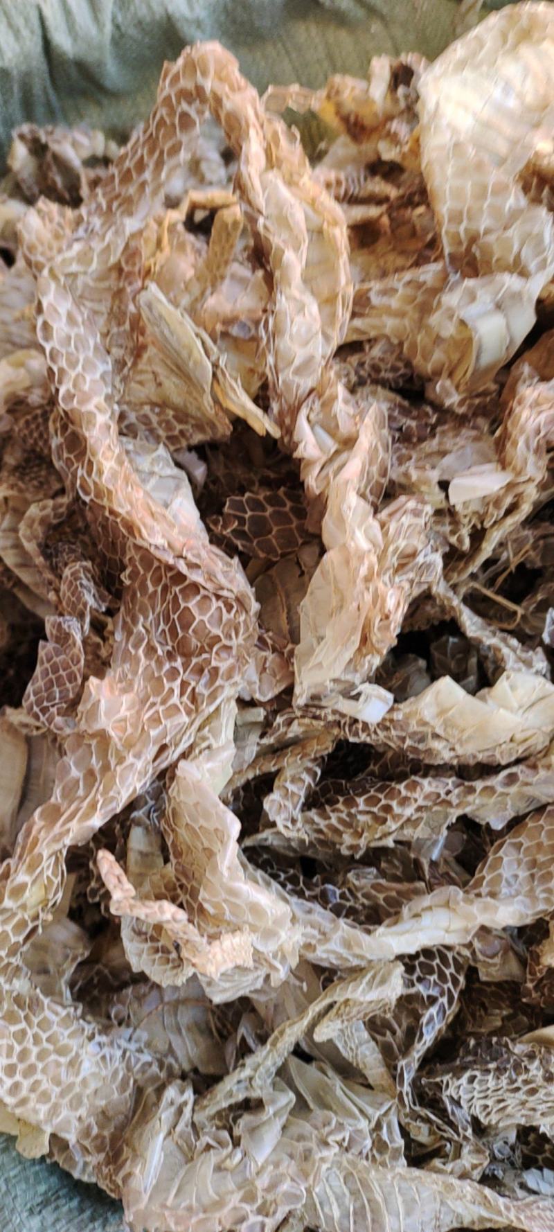 蛇蜕，龙衣，蛇皮批发，一手货源，欢迎采购