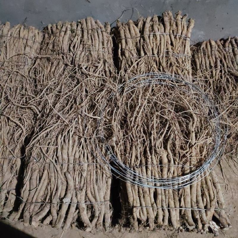 川牛膝，牛膝，干牛膝