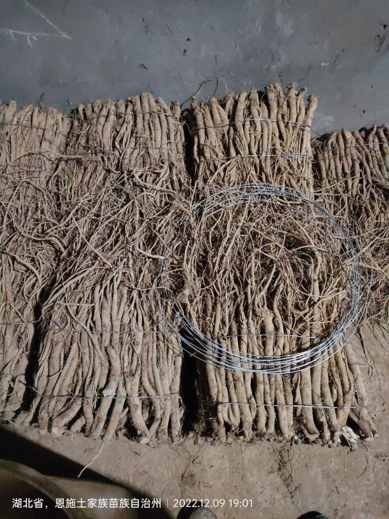 川牛膝，牛膝，干牛膝