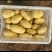 四川土豆黄皮黄心希森V7土豆品种齐全欢迎问价