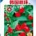 草莓椒种子大果型韩国明珠草莓椒种子朝天椒种子
