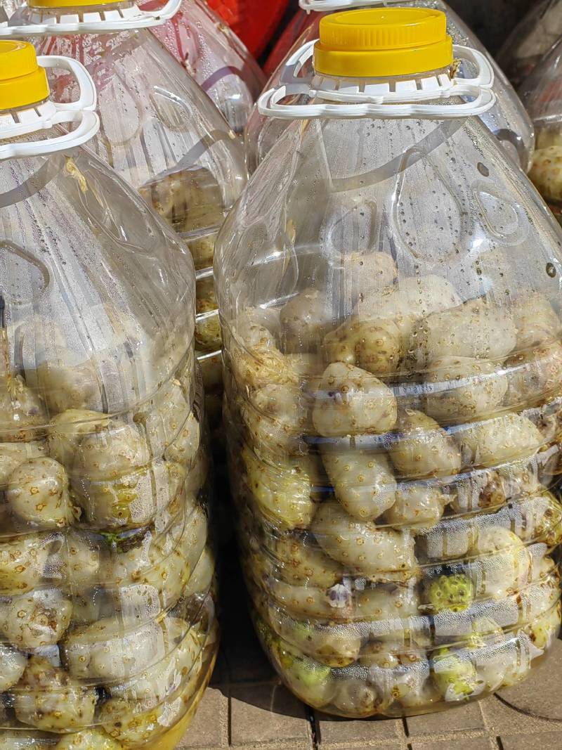 诺丽鲜果