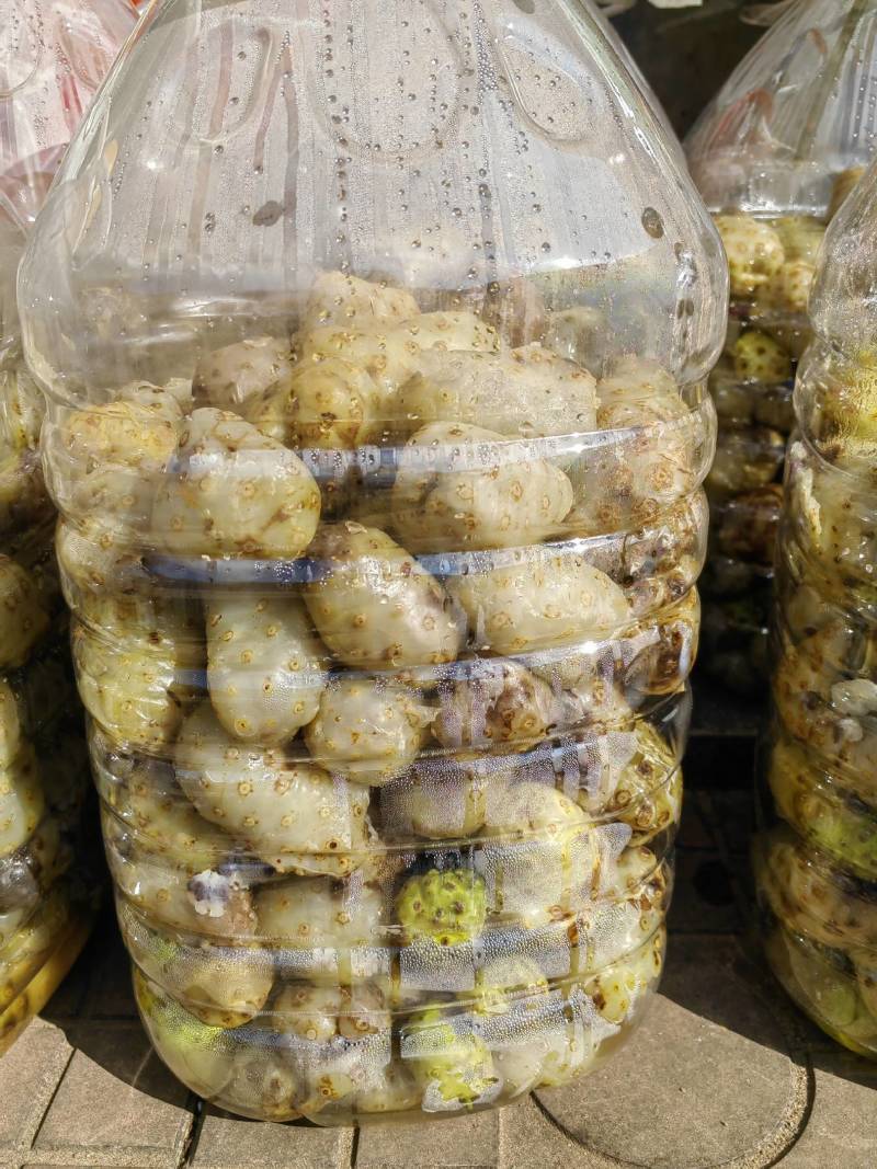 诺丽鲜果