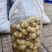 诺丽鲜果