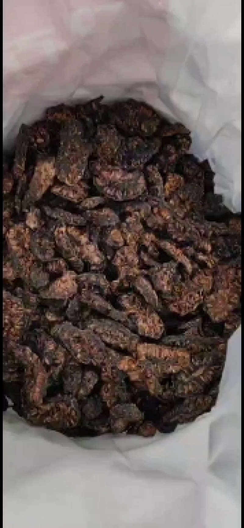 自己种植诺丽果干。。烘干，晒干