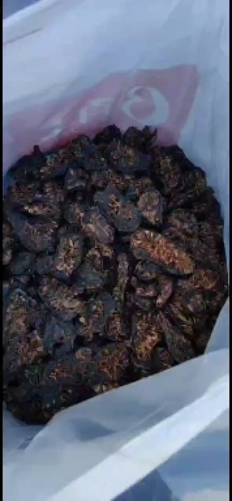 自己种植诺丽果干。。烘干，晒干