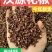 汉源花椒特级，产地直销，价格实惠，一斤也批发