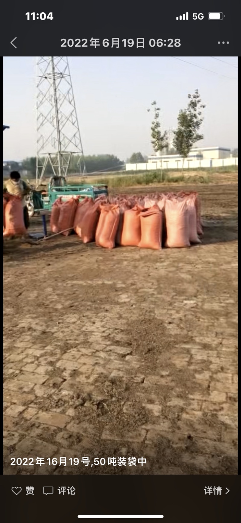 现货已高温发酵干稻壳鸡粪500吨量大从优
