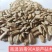 西瓜砧木葫芦砧木结合力强抗病抗裂含糖量高易管理