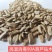 西瓜砧木葫芦砧木结合力强抗病抗裂含糖量高易管理