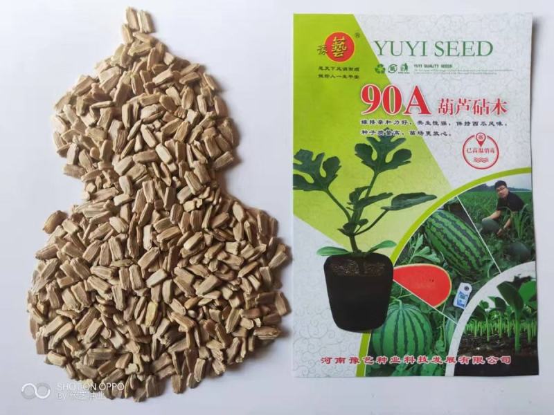 西瓜砧木葫芦砧木结合力强抗病抗裂含糖量高易管理