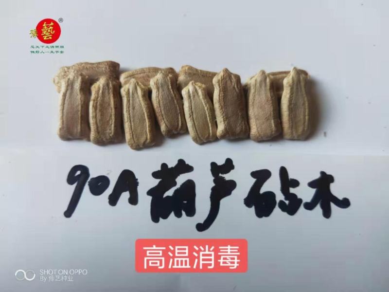 西瓜砧木葫芦砧木结合力强抗病抗裂含糖量高易管理