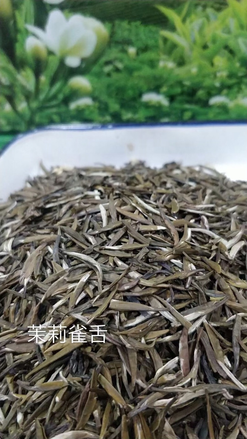 茉莉雀舌浓香型茉莉花茶广西横州市原产地直销