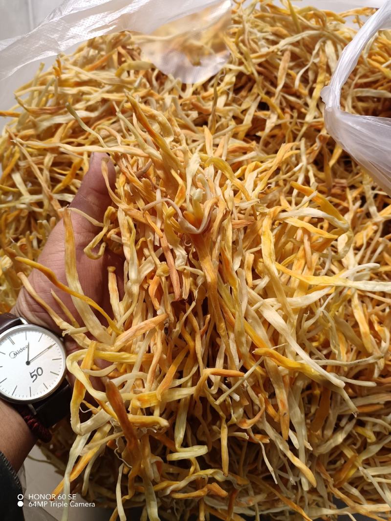 黄花菜精品保鲜菜95干早餐胡辣汤大放价（不包邮）