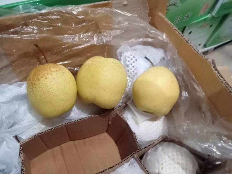 河北雪花梨，脆甜多汁
