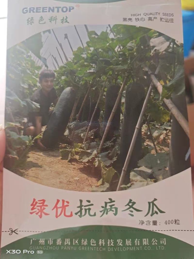 广州绿优科技有限公司黑皮冬瓜种子抗病高产量大从优
