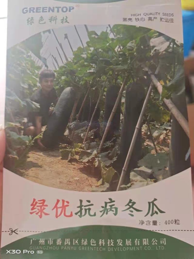 广州绿优科技有限公司黑皮冬瓜种子抗病高产量大从优