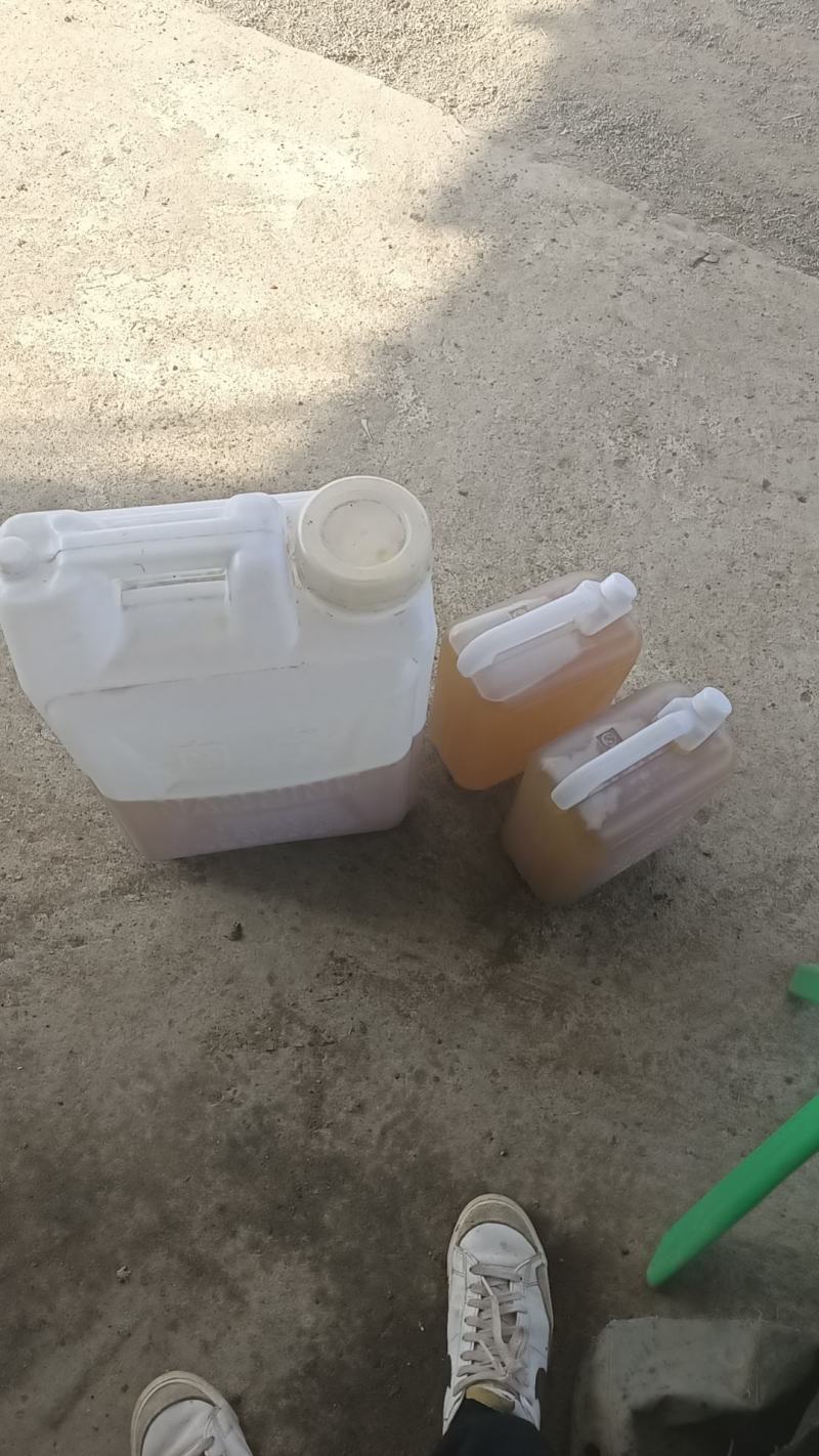茶油山茶油野生茶油。。。。。。。。。。