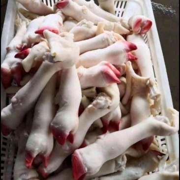 羊蹄