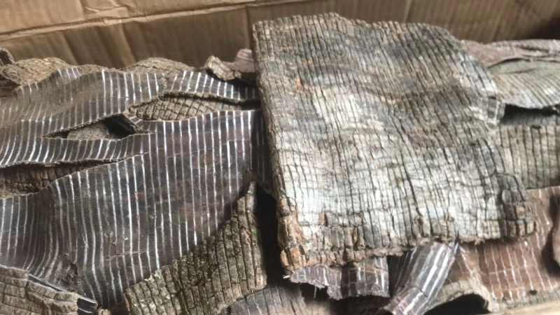 【产地批发】杜仲杜仲皮杜仲方块杜仲去皮一手货源