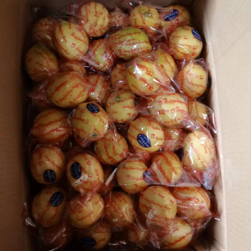 【精品】安岳青柠檬大量供应产地发货，现摘现发，欢迎洽谈