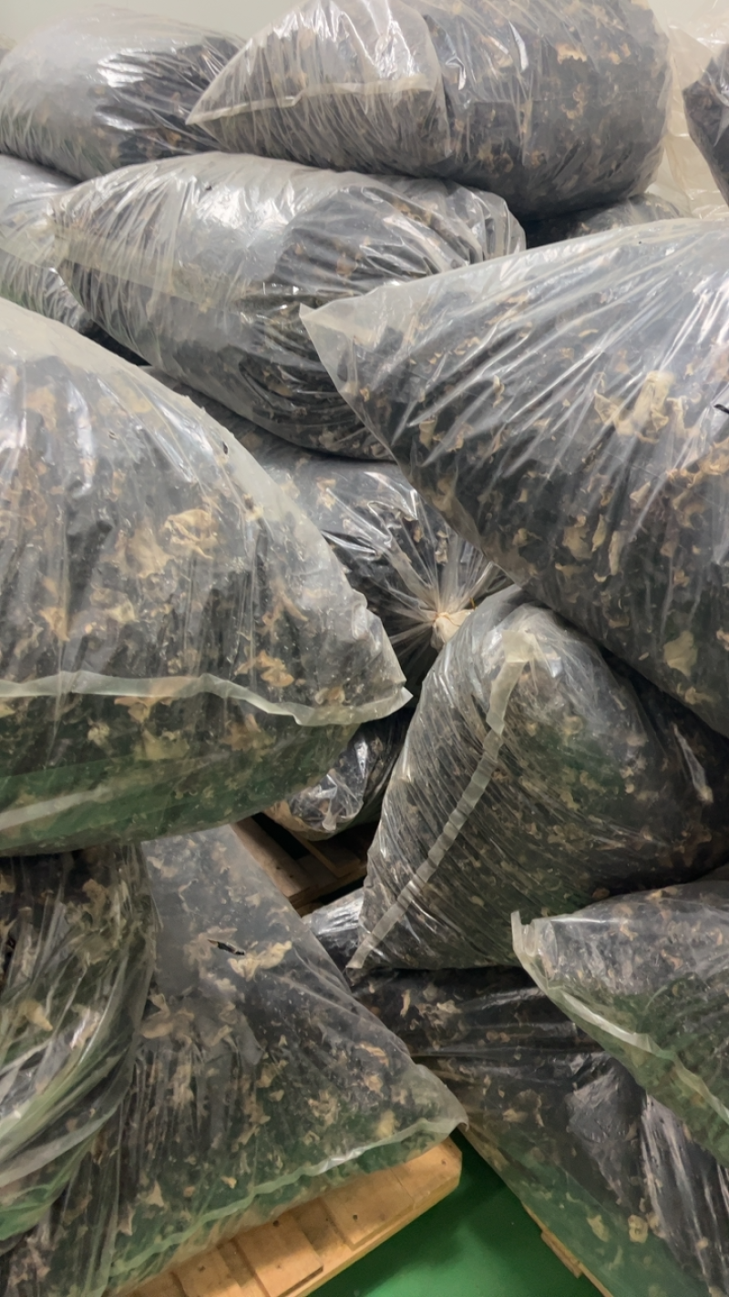毛木耳出口品质给500强企业配套供应全国发货