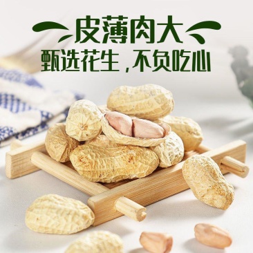 蒜香花生果货源充足品质保障对接市场商超平台