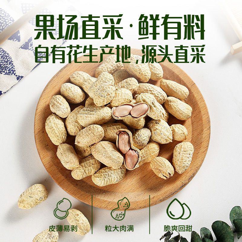 蒜香花生果货源充足品质保障对接市场商超平台