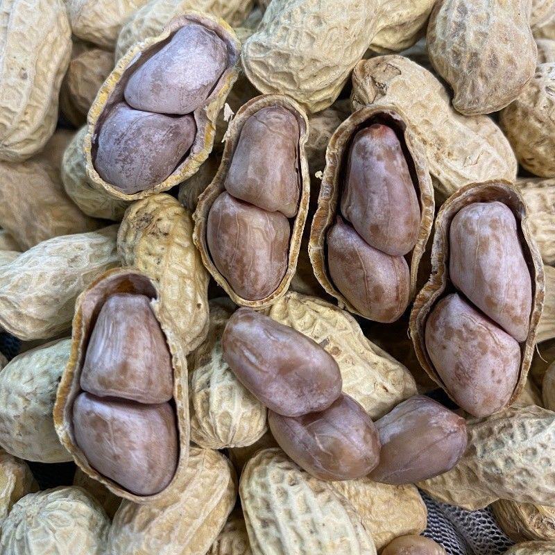 蒜香花生果货源充足品质保障对接市场商超平台