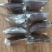 食叶草种子蛋白草，牧草基地货源质量保证，可提供育苗指导