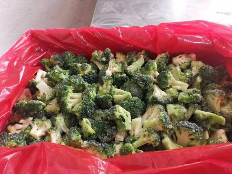 新季速冻西兰花绿花菜餐厅饭店蔬菜厂家供应现货大量批发