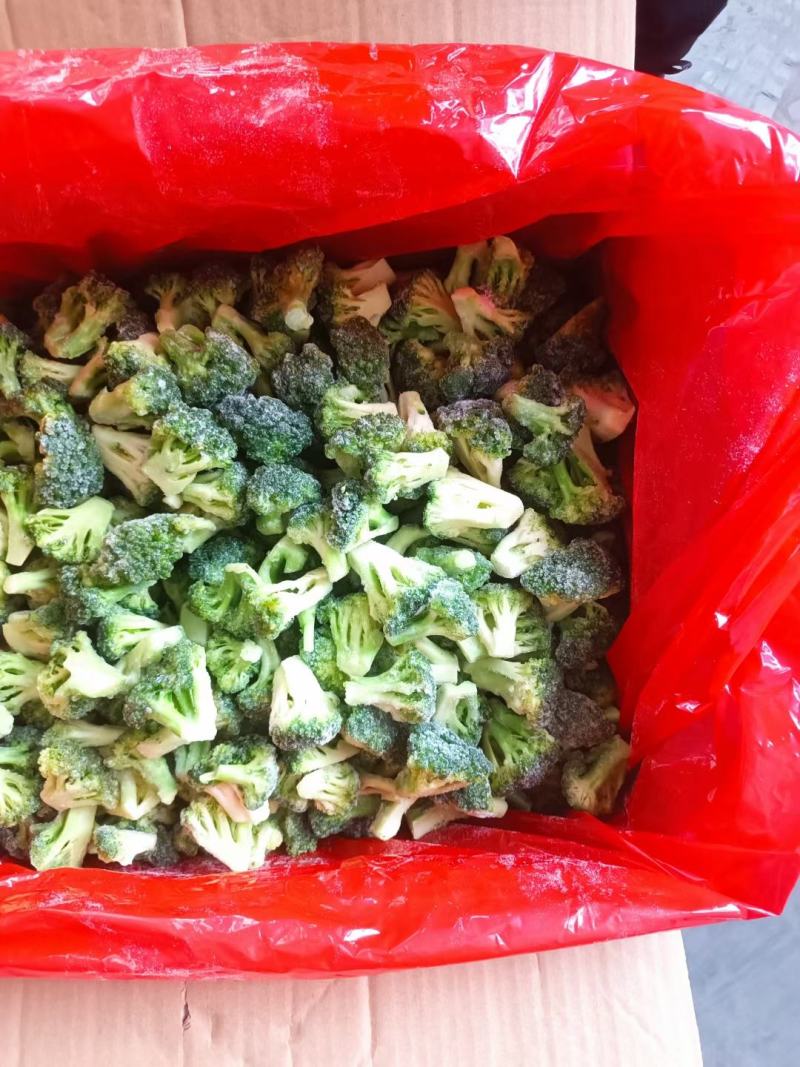 新季速冻西兰花绿花菜餐厅饭店蔬菜厂家供应现货大量批发