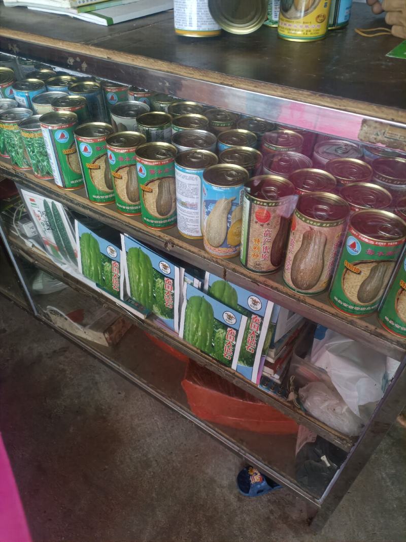 金船蜜本老南瓜。大量有货产地直发货源充足欢迎咨询