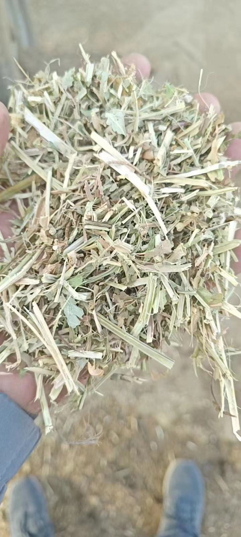 【推荐】花生秧2-3公分草段马羊理想饲料欢迎来电咨询