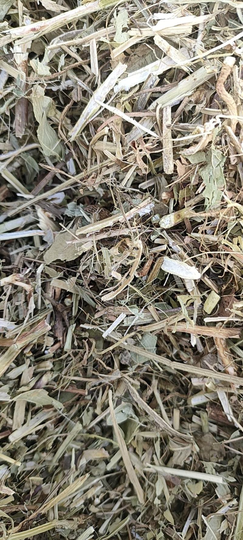 【推荐】花生秧2-3公分草段马羊理想饲料欢迎来电咨询