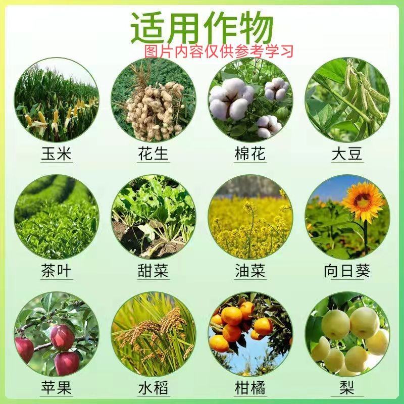 兰月农实多细胞分裂素苄氨基嘌呤保花保果促花芽分化调节生
