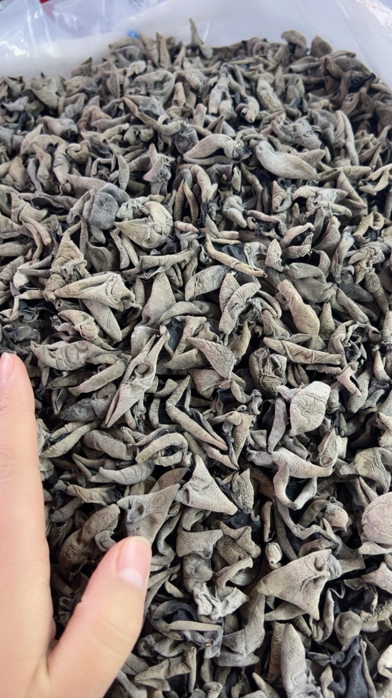 精品优1.6黑山