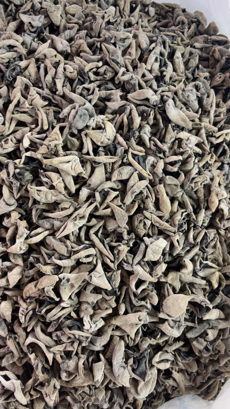精品优1.6黑山