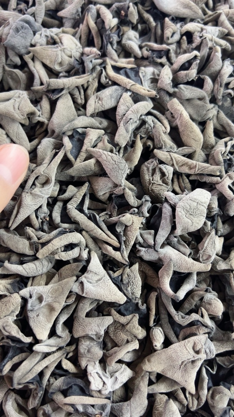 精品优1.6黑山
