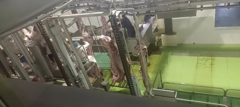 带骨🦴四分体