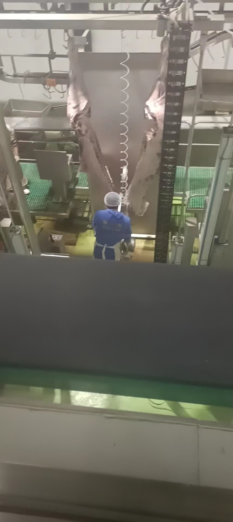 带骨🦴四分体