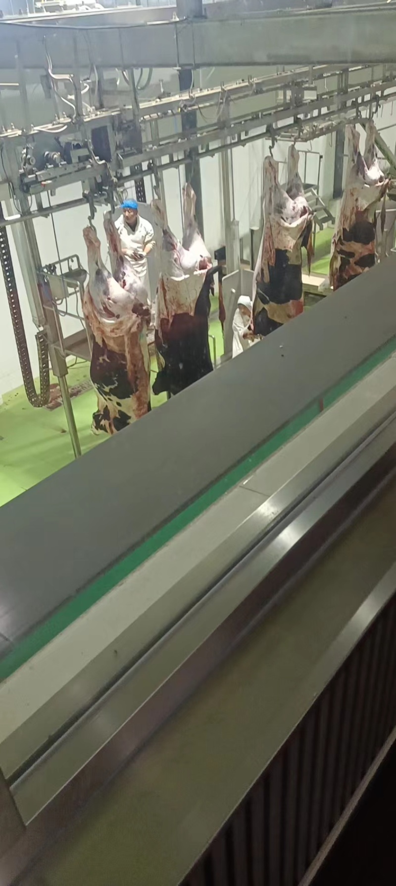 带骨🦴四分体