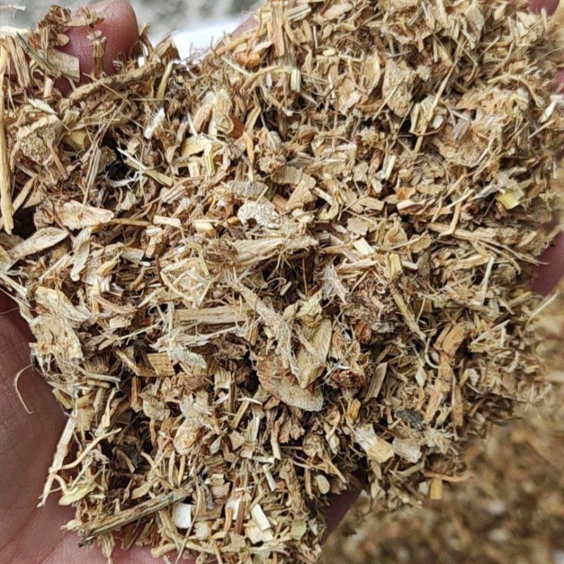 黄芪沫子