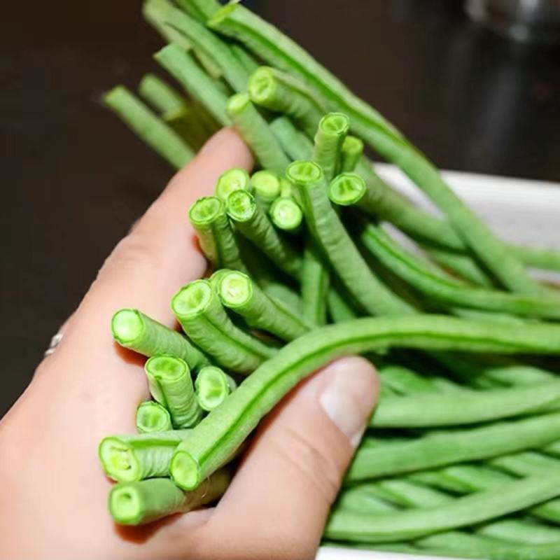 一统豇山绿条豇豆种子长豆角种子种植户农家庭院种植蔬菜种子