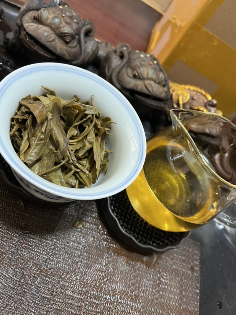 邦崴古树茶