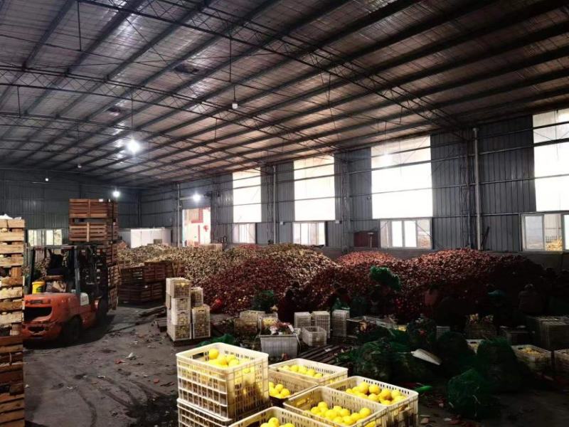 【推荐】精品柠檬安岳柠檬自产自销大量供应欢迎洽谈合作